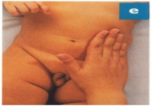 Pijat Bayi Aman Berbasis Keluarga